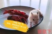吃瓜娱乐背景板