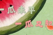 娱乐吃瓜君四字小花,娱乐吃瓜君揭秘娱乐圈小花背后的故事